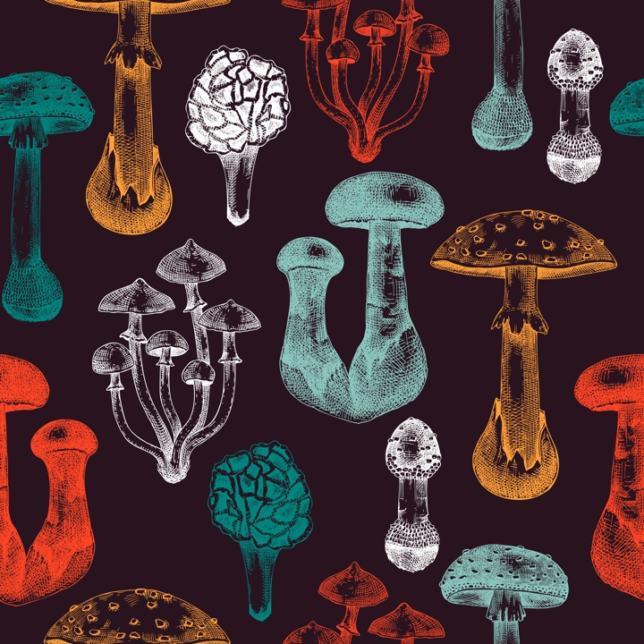 Poisonous mushrooms seamless pattern. Hand-drawn deadly fungus design. Vector forest plants background. Botanical illustrations, design elements. For packaging, print, banners,